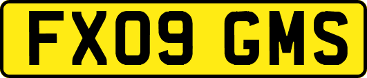 FX09GMS