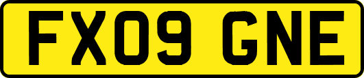 FX09GNE
