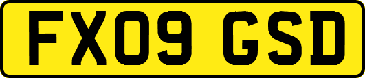FX09GSD