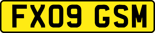 FX09GSM