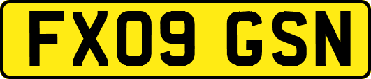 FX09GSN