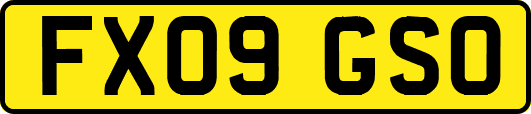 FX09GSO