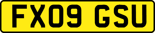 FX09GSU
