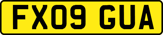 FX09GUA