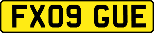 FX09GUE