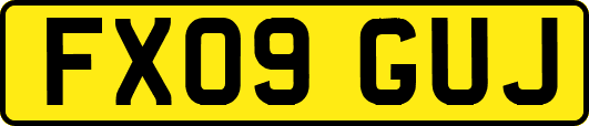 FX09GUJ
