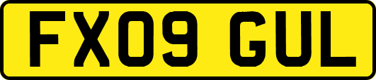 FX09GUL