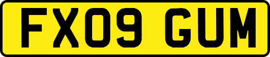 FX09GUM