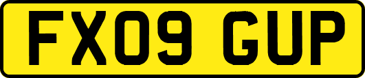 FX09GUP