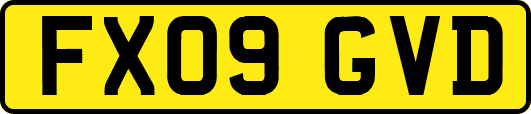 FX09GVD