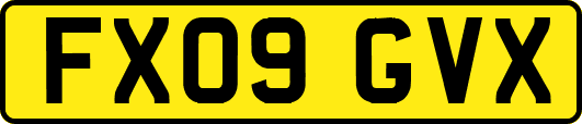FX09GVX