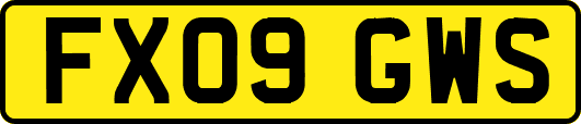 FX09GWS