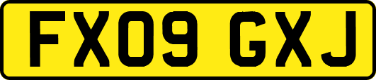 FX09GXJ