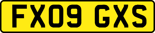 FX09GXS