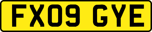 FX09GYE