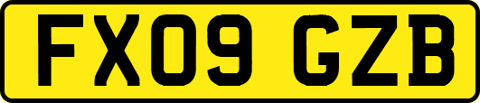 FX09GZB