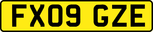 FX09GZE