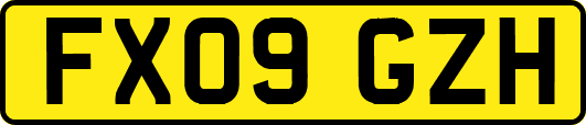 FX09GZH