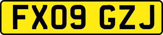FX09GZJ