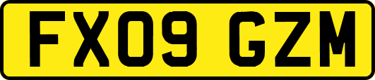 FX09GZM