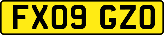 FX09GZO