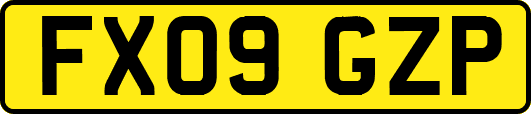 FX09GZP