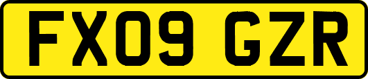 FX09GZR