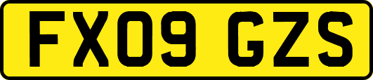 FX09GZS
