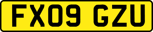 FX09GZU