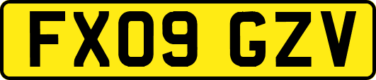 FX09GZV