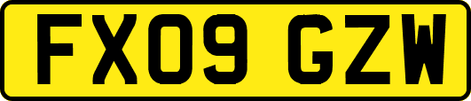 FX09GZW