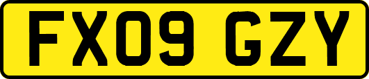 FX09GZY