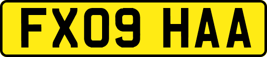FX09HAA