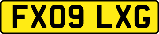 FX09LXG