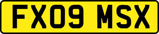 FX09MSX