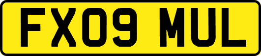 FX09MUL