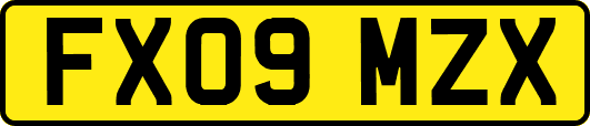 FX09MZX