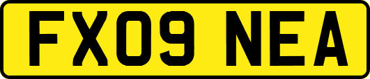 FX09NEA