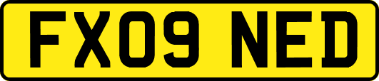 FX09NED