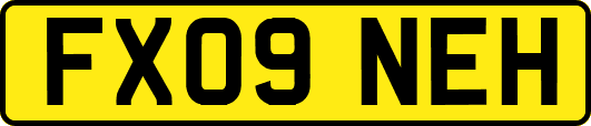 FX09NEH