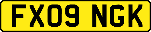 FX09NGK