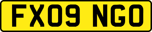 FX09NGO