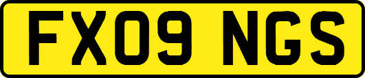 FX09NGS