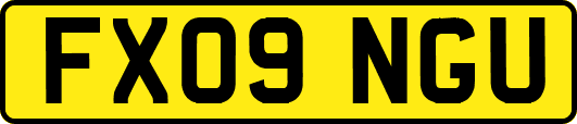 FX09NGU