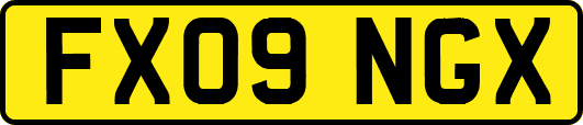 FX09NGX