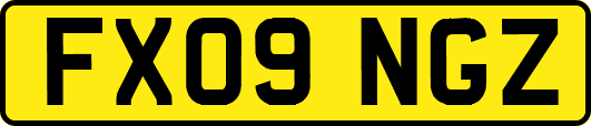 FX09NGZ