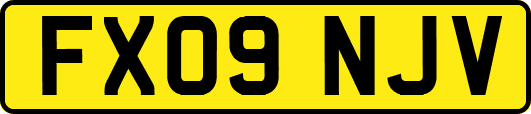 FX09NJV