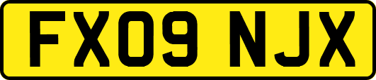 FX09NJX