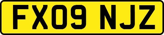 FX09NJZ