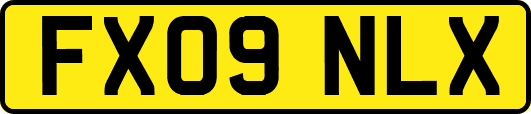 FX09NLX